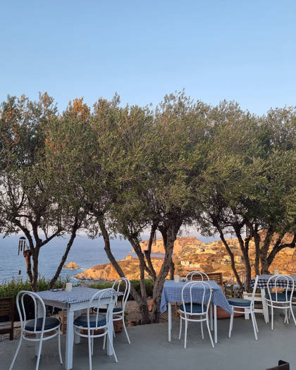 agia-pelagia-bellevue-village-dining-655.jpg