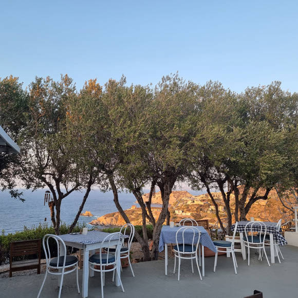 agia-pelagia-bellevue-village-dining-655.jpg