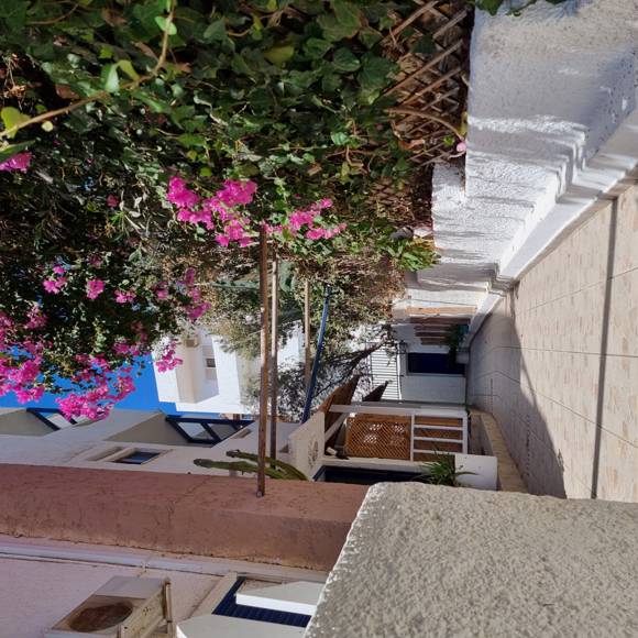 Blue-Cactus-Agia-Pelagia-048.jpg