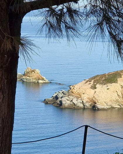 agia-pelagia-bellevue-village-655.jpg