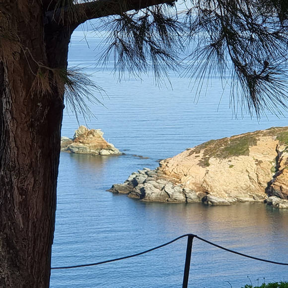 agia-pelagia-bellevue-village-655.jpg