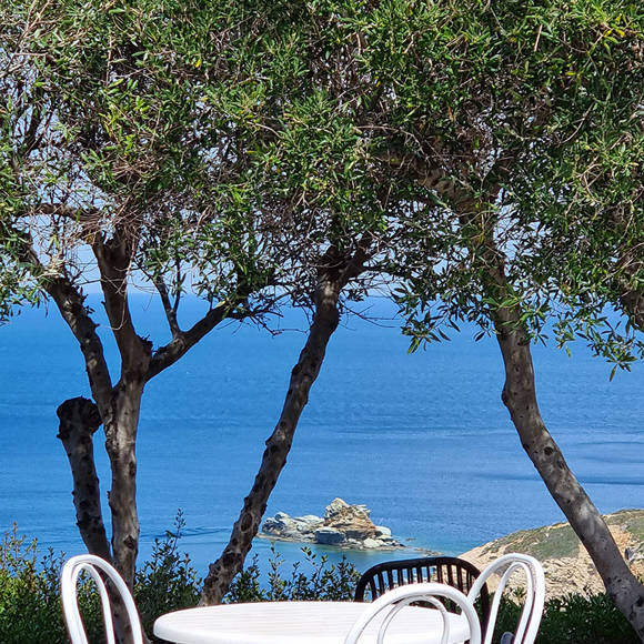 agia-pelagia-bellevue-village-dining-003.jpg