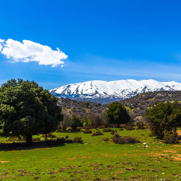 agia-pelagia-bellevue-crete-Psiloritis.jpg