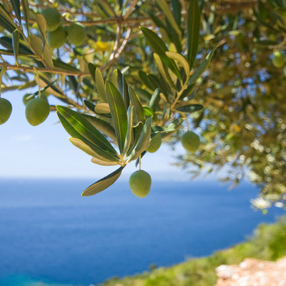 agia-pelagia-bellevue-crete-made.jpg
