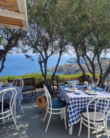 agia-pelagia-bellevue-village-dining-214.jpg