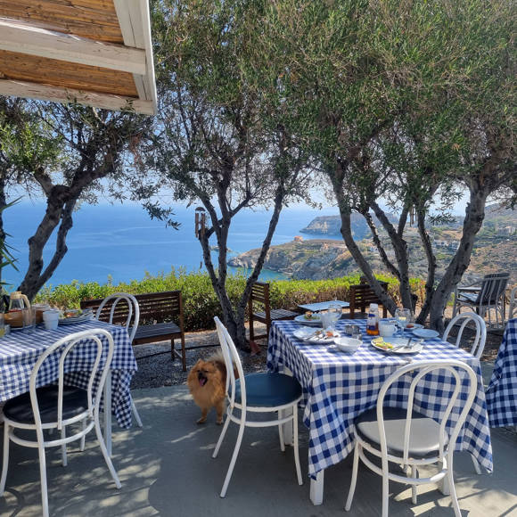 agia-pelagia-bellevue-village-dining-214.jpg